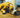 Home Remedy For Yeast Infection In Dogs