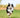 Using CBD For Dogs Arthritis
