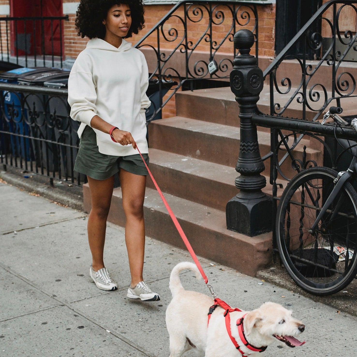 Why is Baltimore a Dog Friendly City?