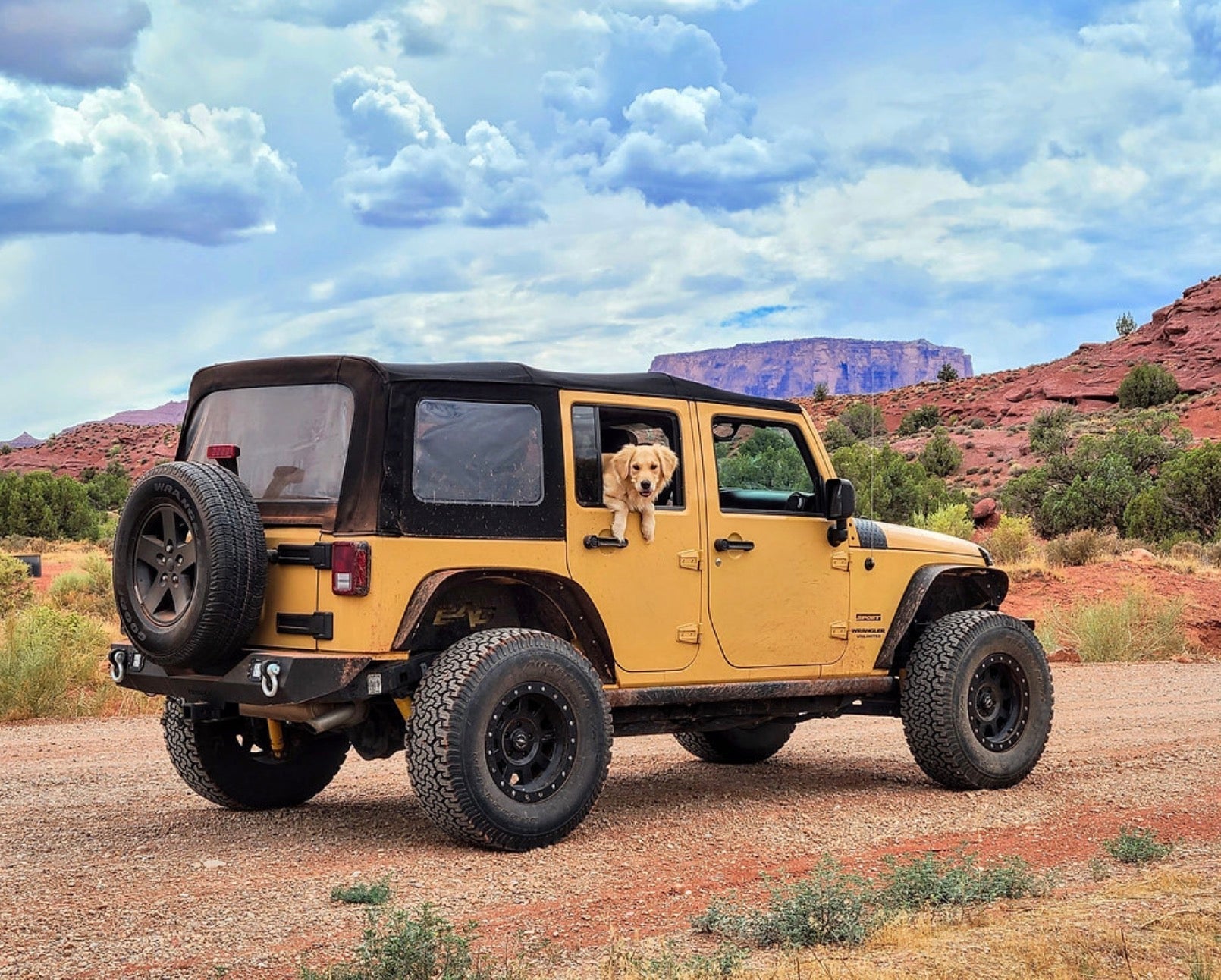 Things to Do with Your Dog in Tucson