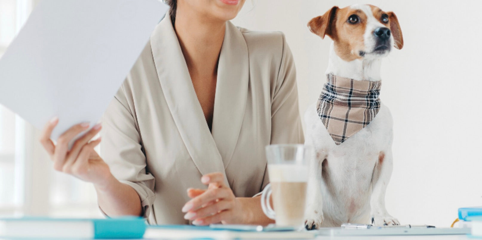 Is CBD for Dogs Legal?