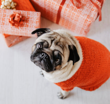 Gift Ideas for Dog Parents