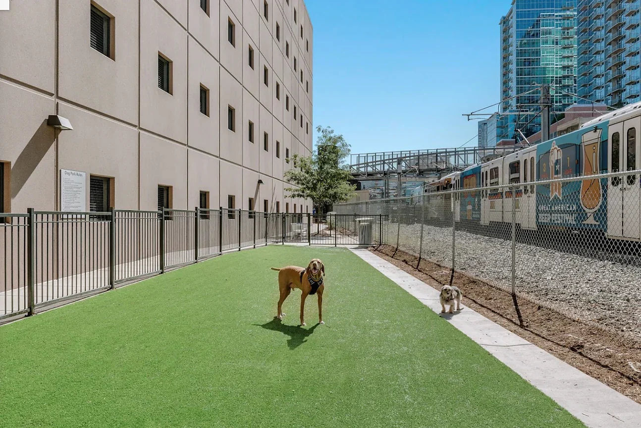 The Best Pet Friendly Apartments in Denver, CO