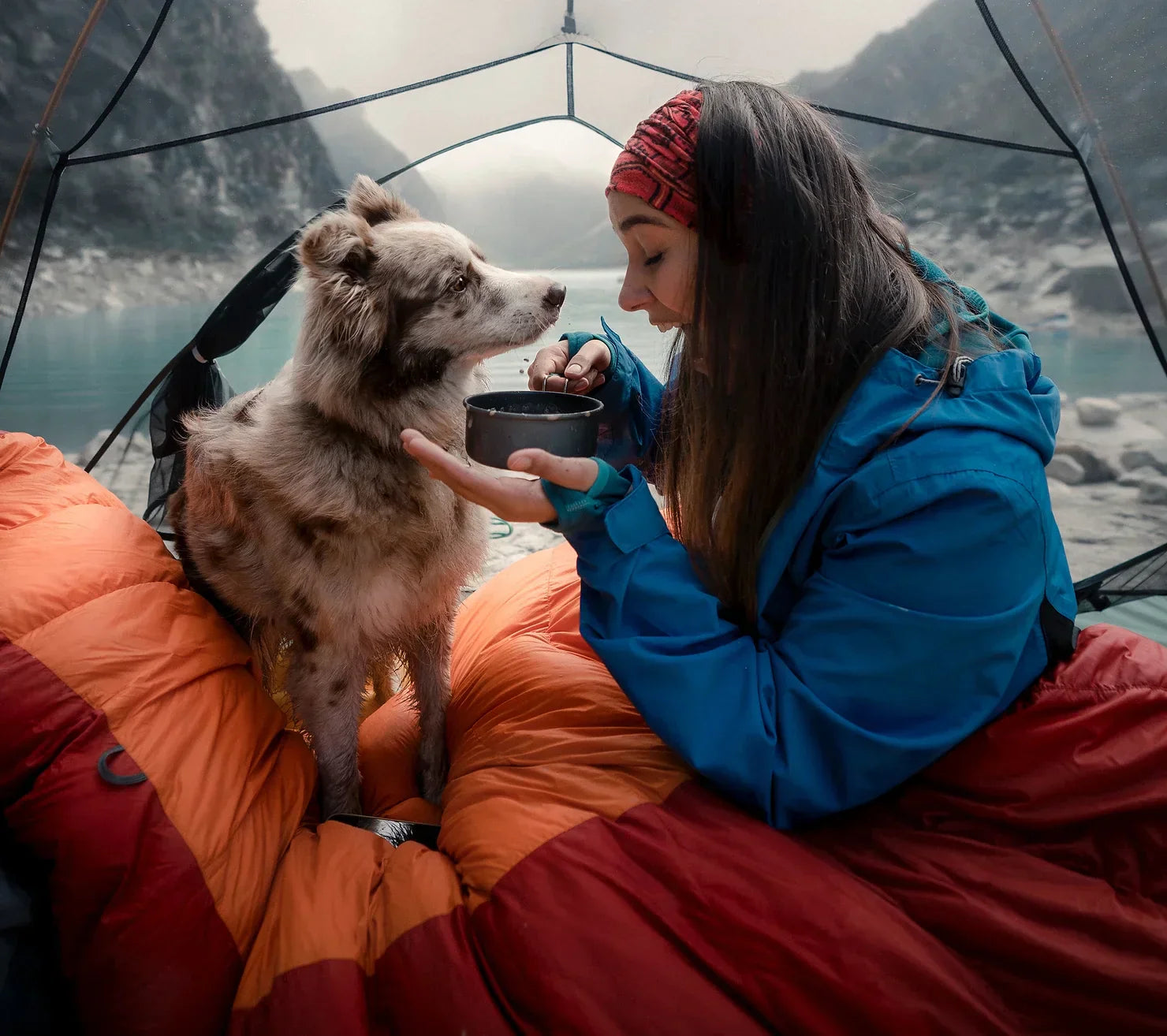 Can You Give Your Dog Human CBD Oil?