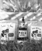 All CBD Pet Products