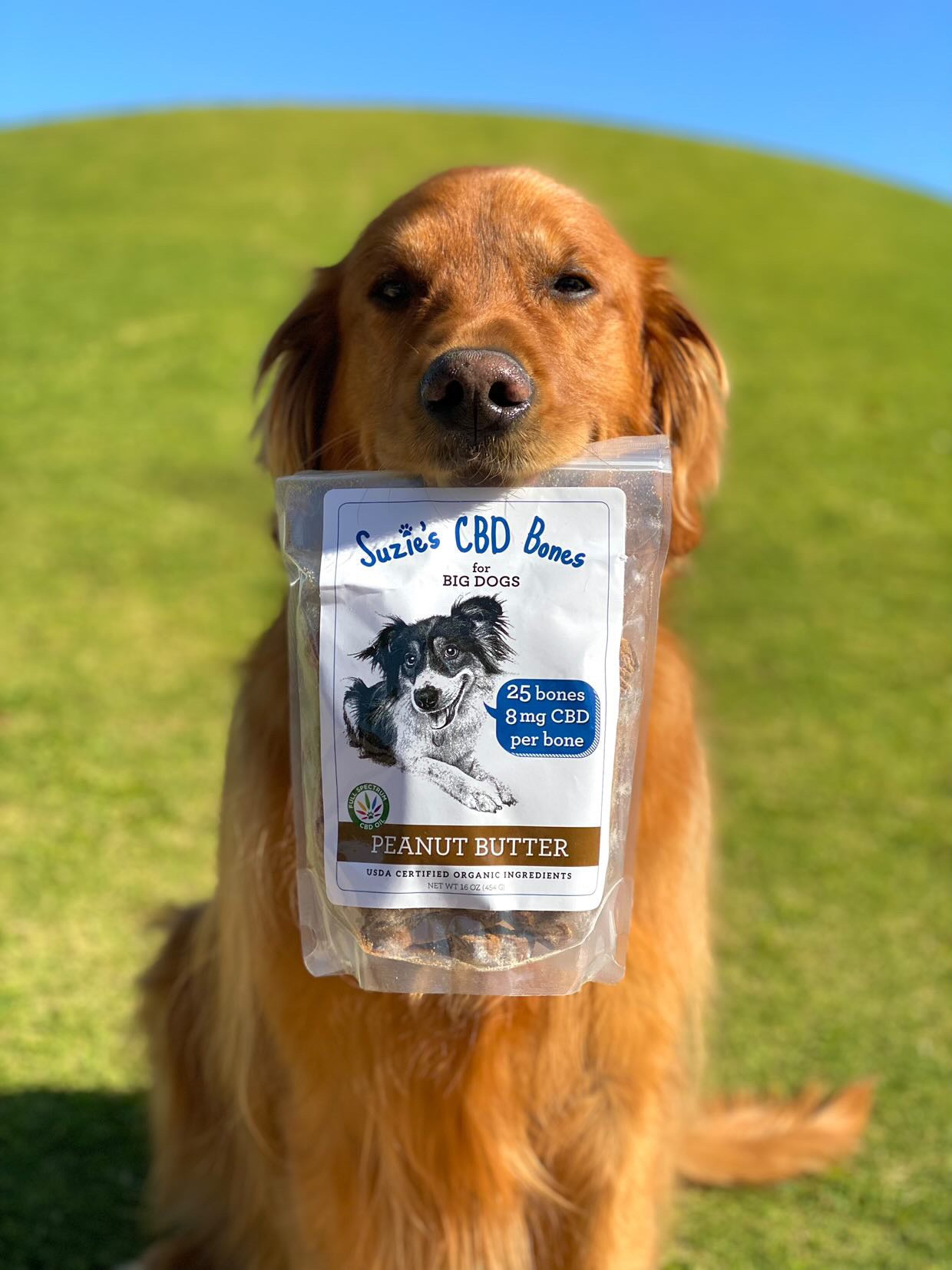 Suzies CBD Treats