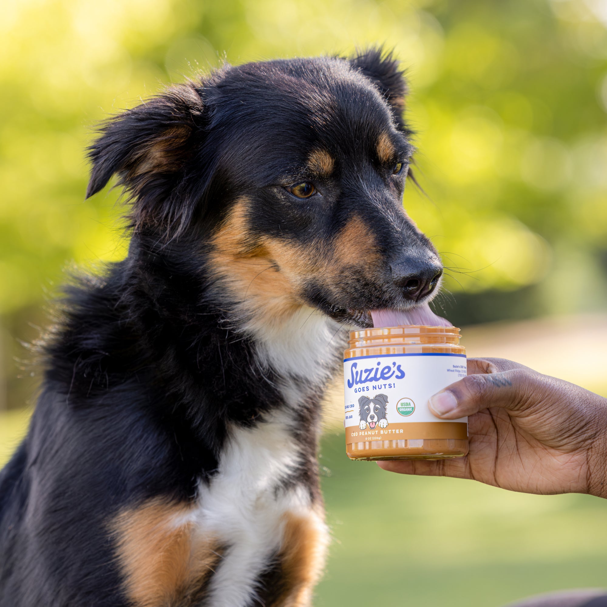 Suzie's Goes Nuts - 125 mg CBD Peanut Butter for Dogs