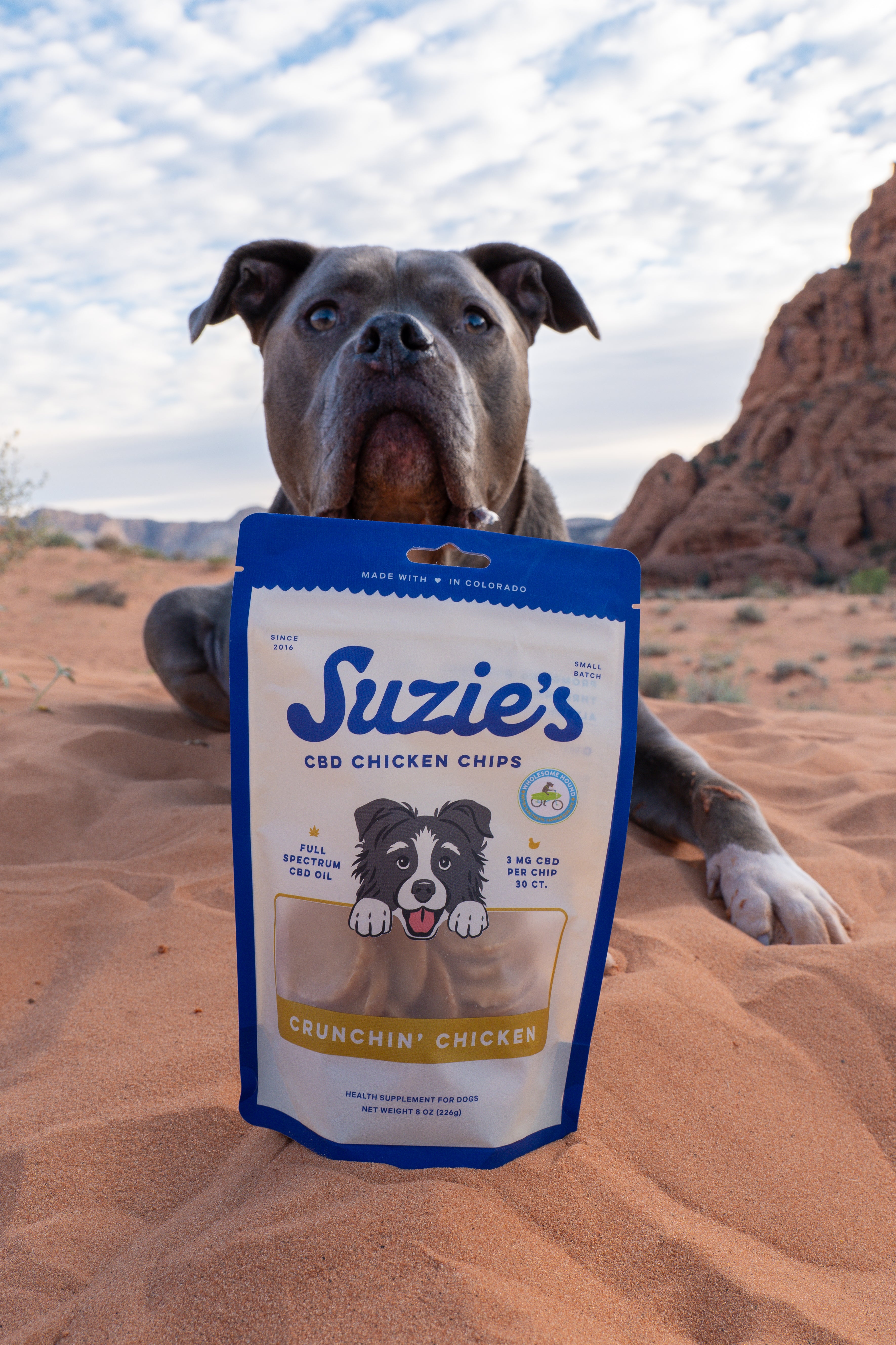 3 mg CBD Chicken Chips for Dogs