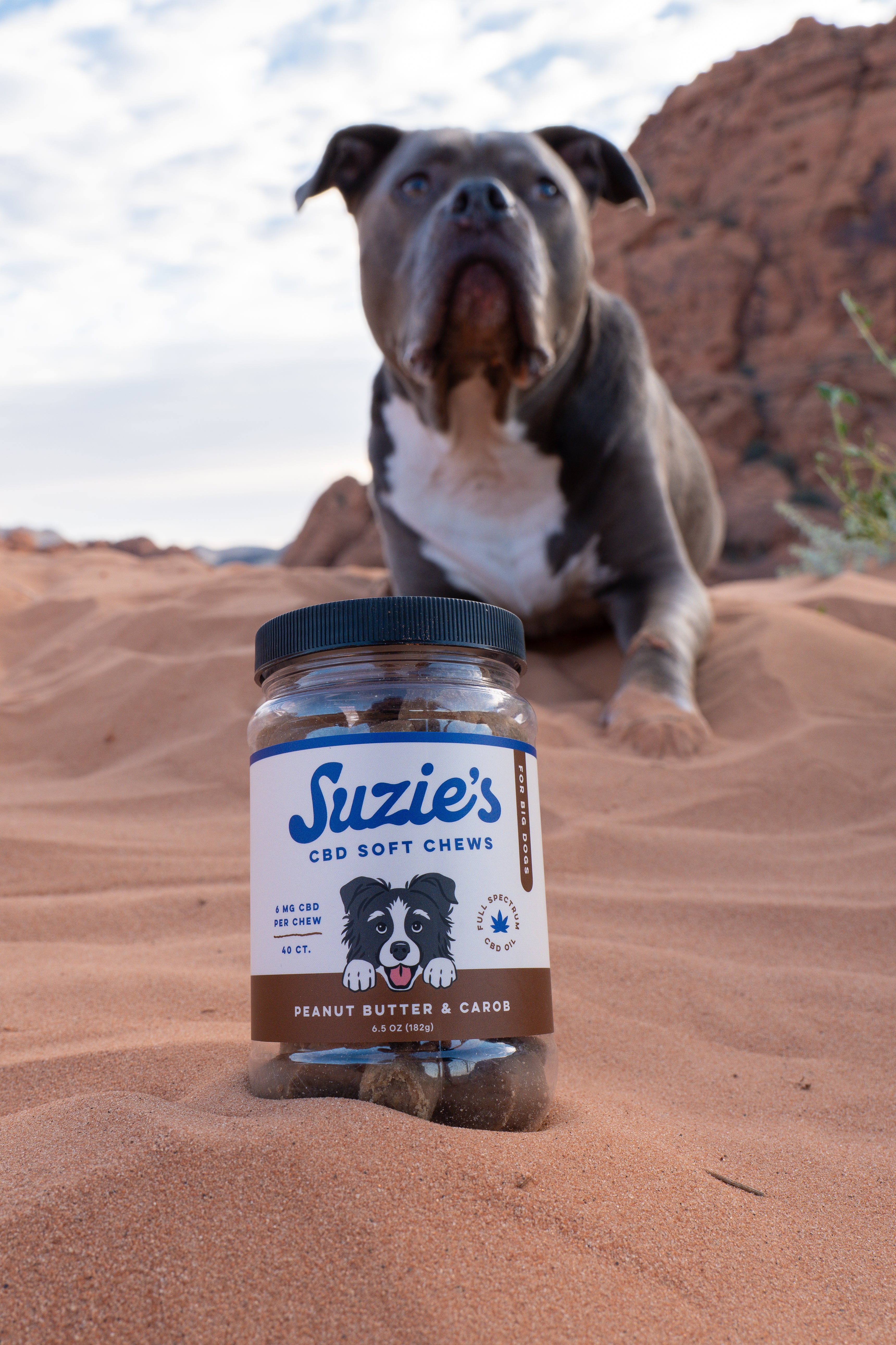 Suzie's 6 mg CBD Soft Chews for Big Dogs