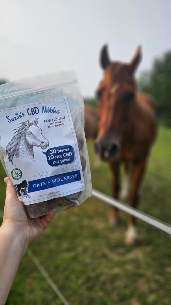 10 mg CBD Nibbles for Horses (30 count)