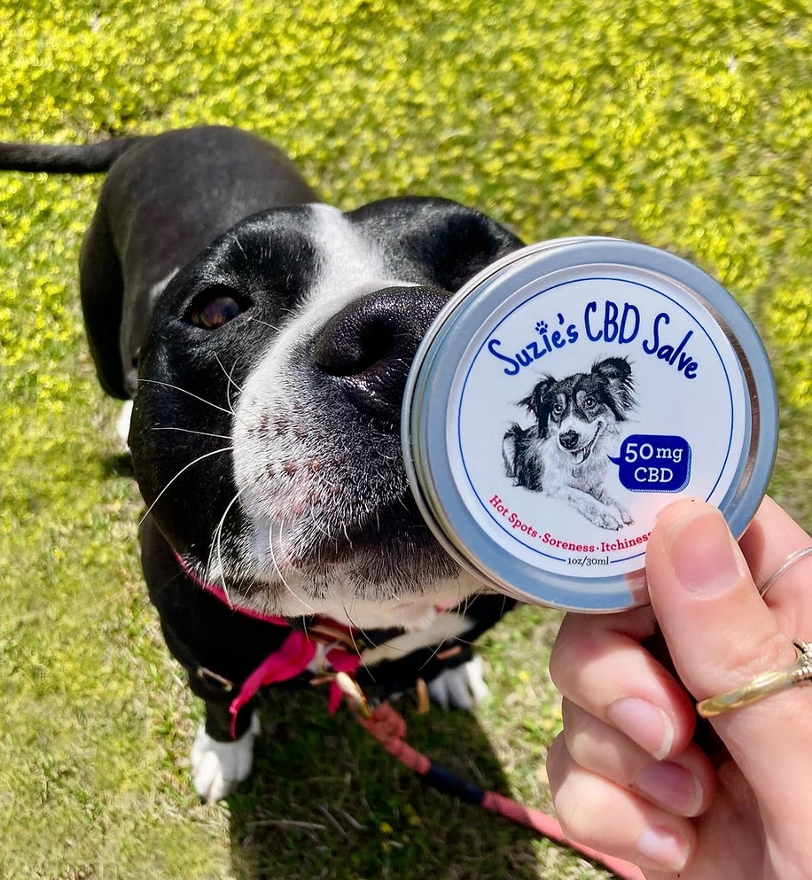 50 mg CBD Dog Salve