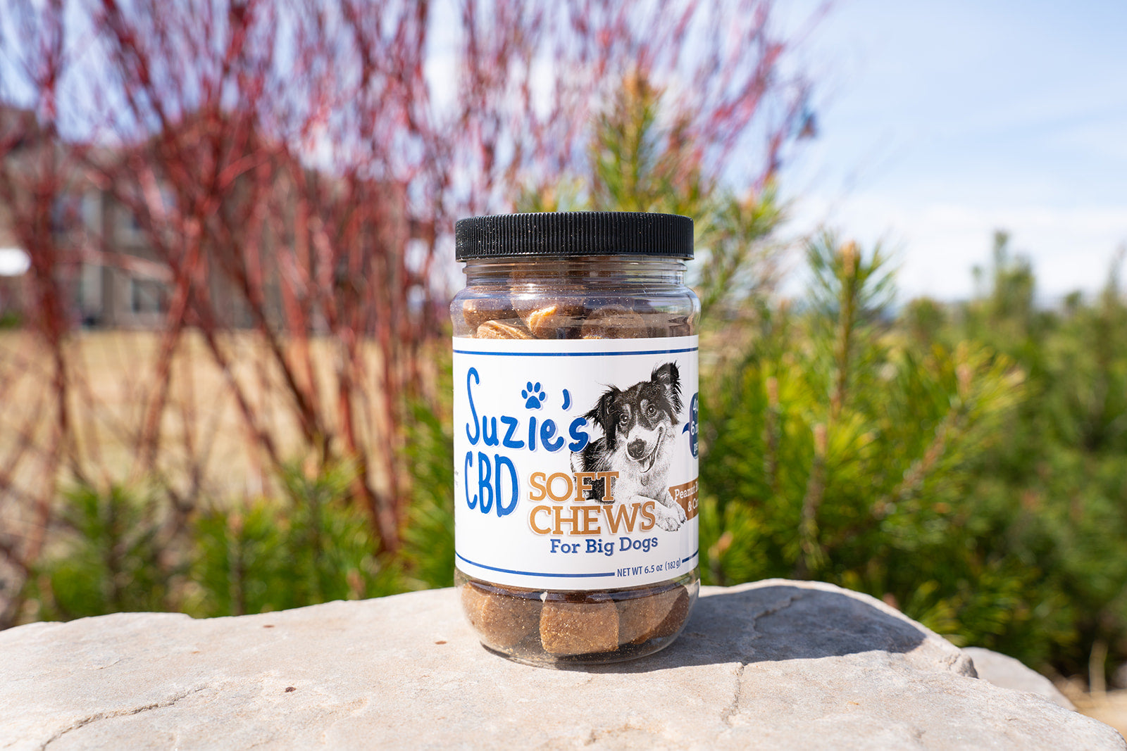 Suzie's 6 mg CBD Soft Chews for Big Dogs