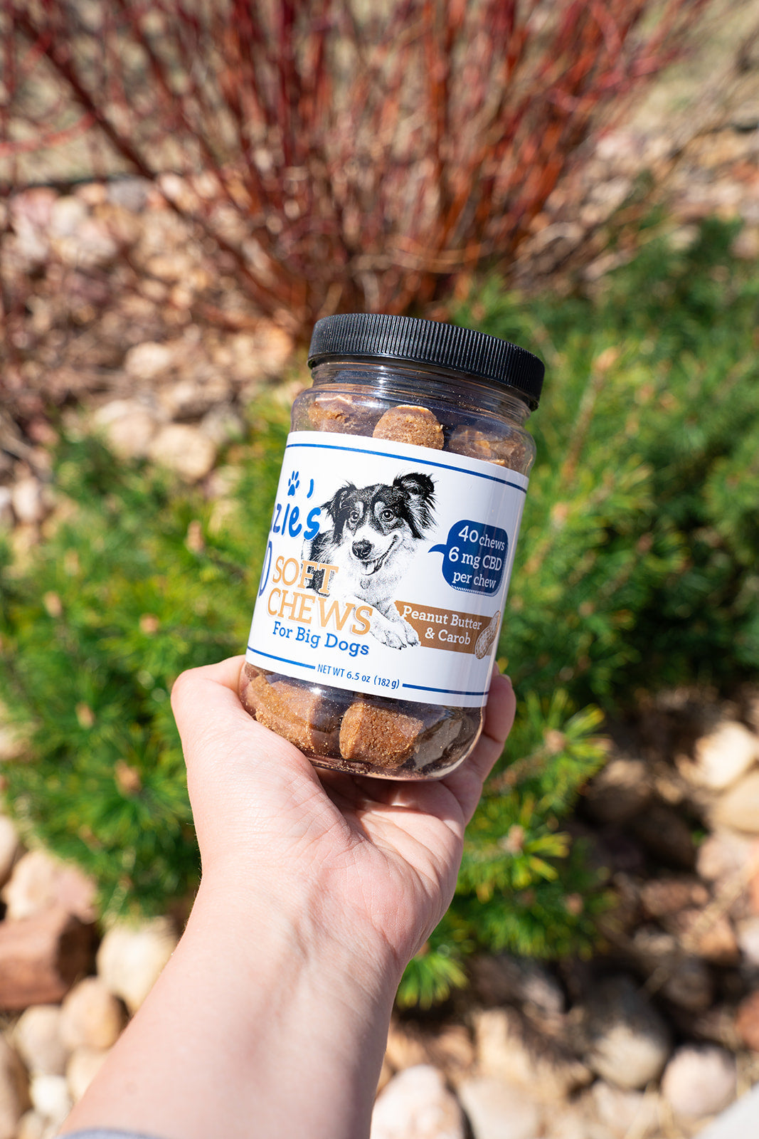 Suzie's 6 mg CBD Soft Chews for Big Dogs