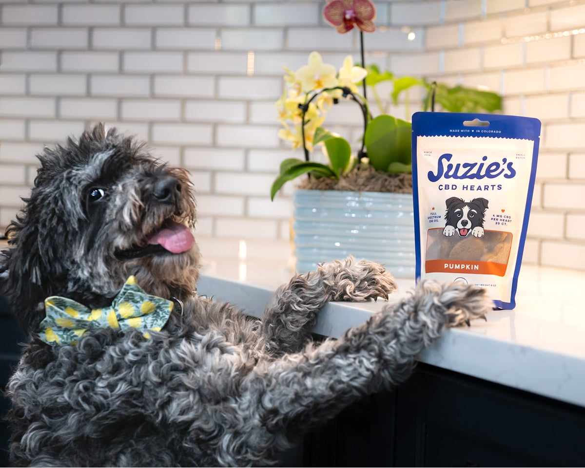 Suzies CBD Treats