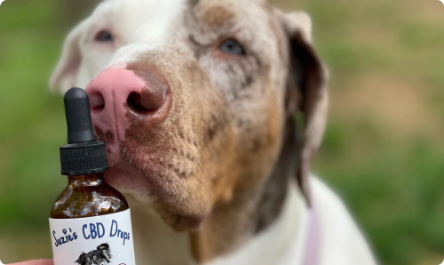 Suzies CBD Treats