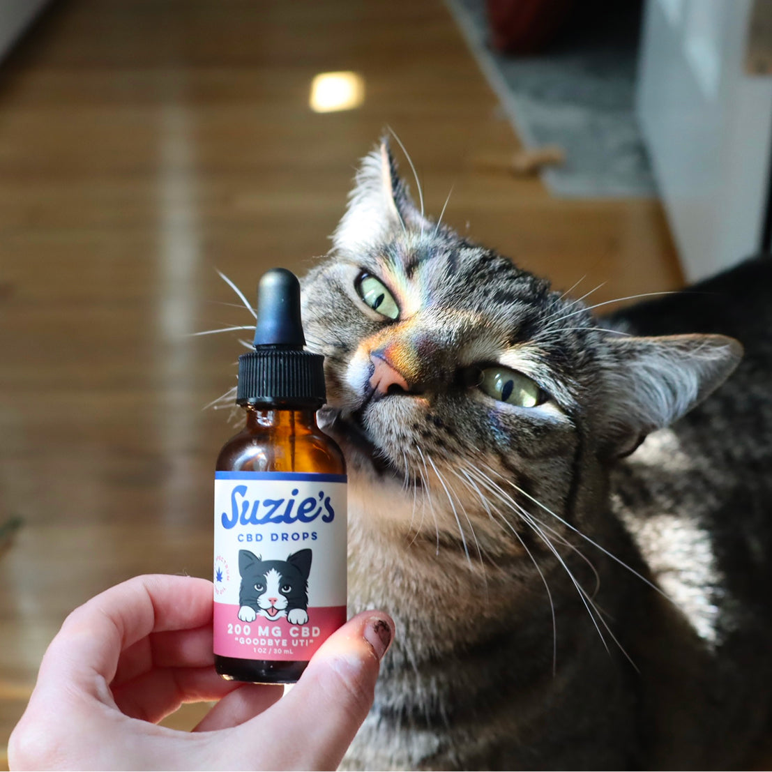 Suzie's CBD Drops - UTI Support