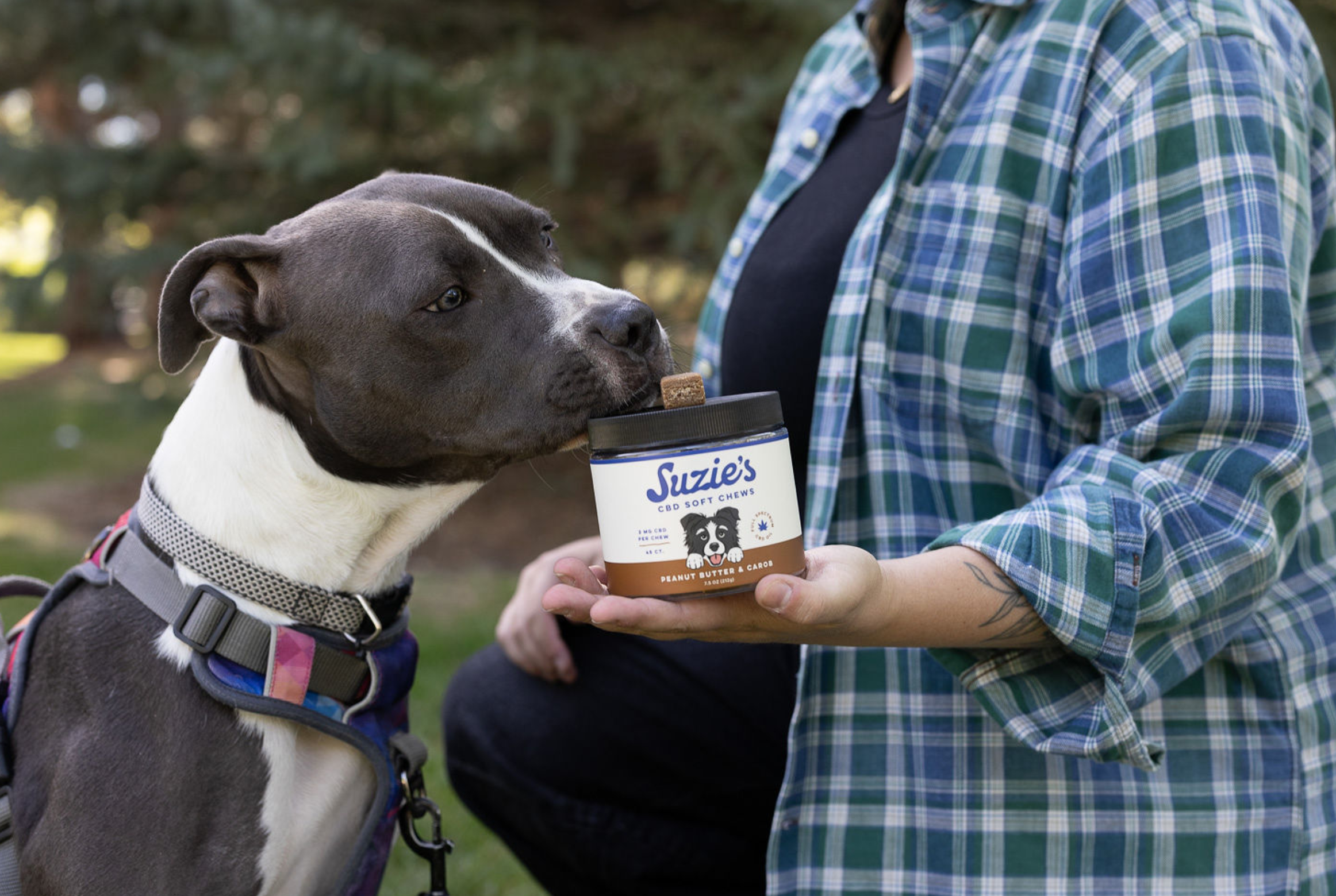 Suzie's 6 mg CBD Soft Chews for Big Dogs