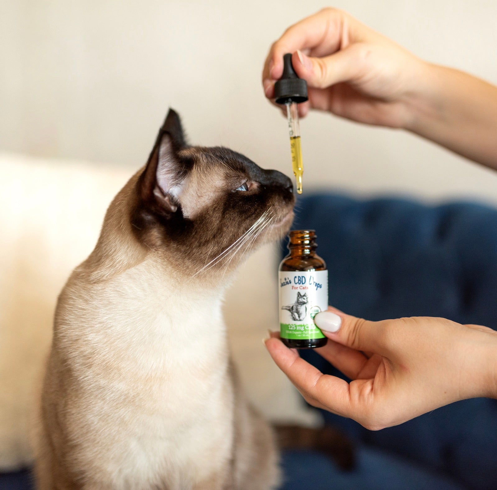 Suzie's 125 mg CBD Oil for Cats