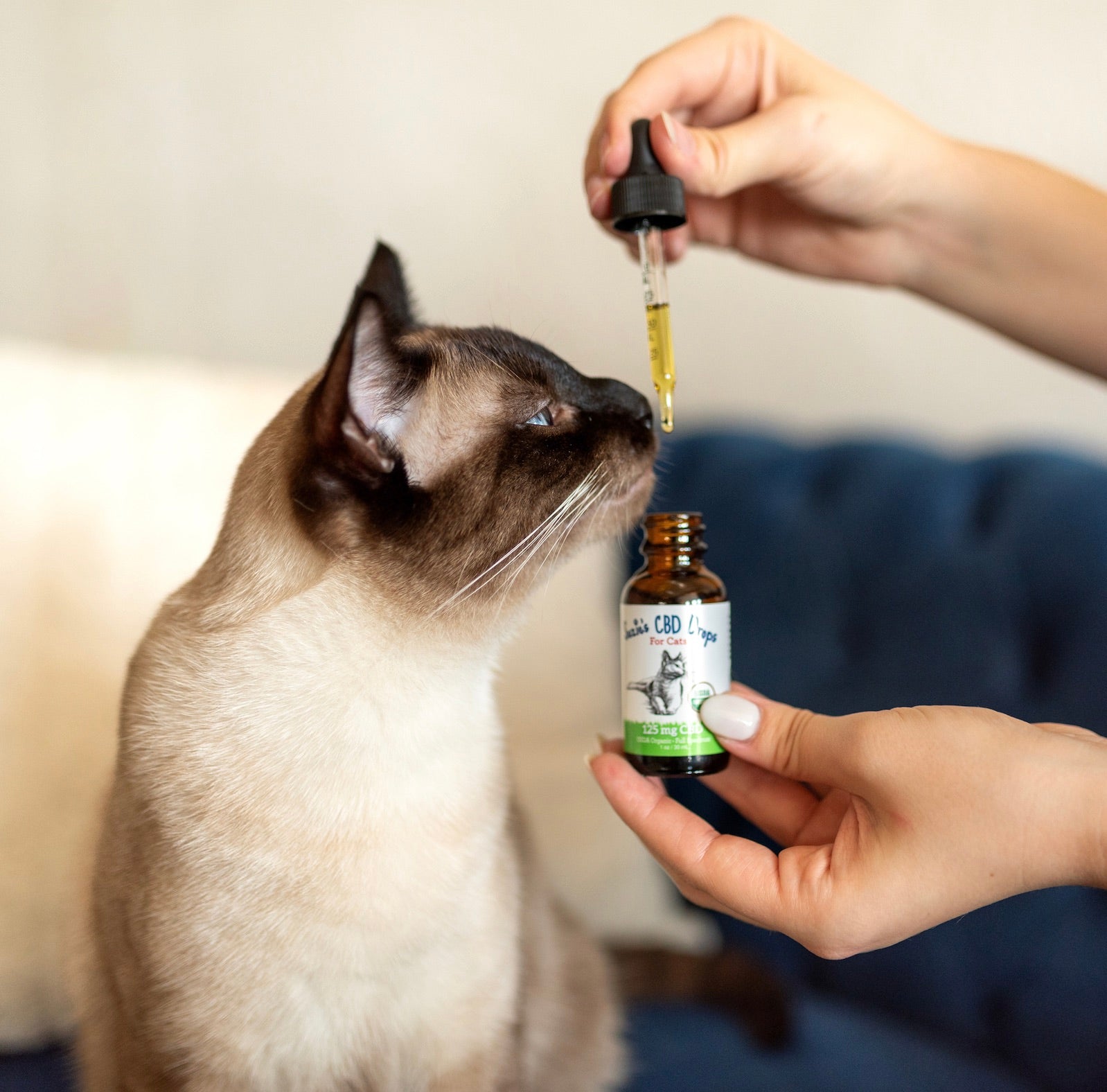 All CBD For Pets Oil Treats More Suzie s Pet Treats all-cbd-for-pets-oil-treats-more-suzie-s-pet-treats