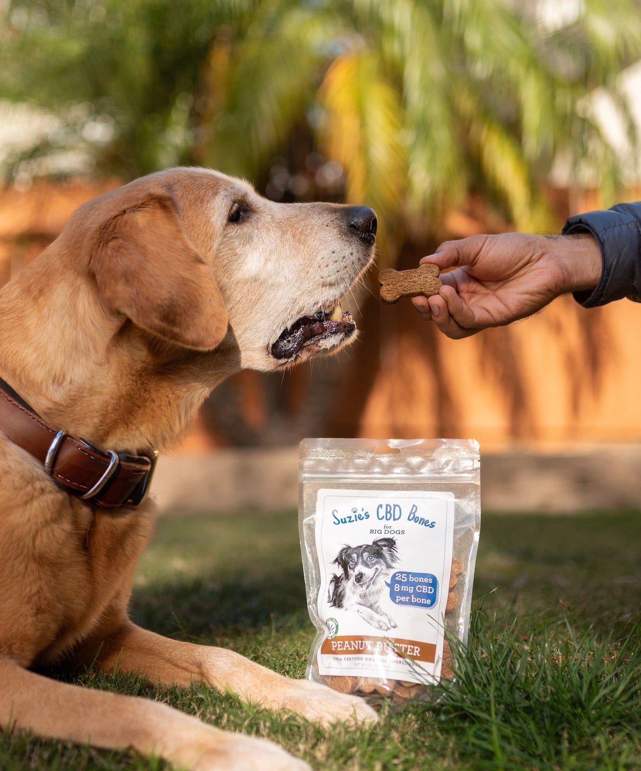 Suzie's CBD Bones for Big Dogs