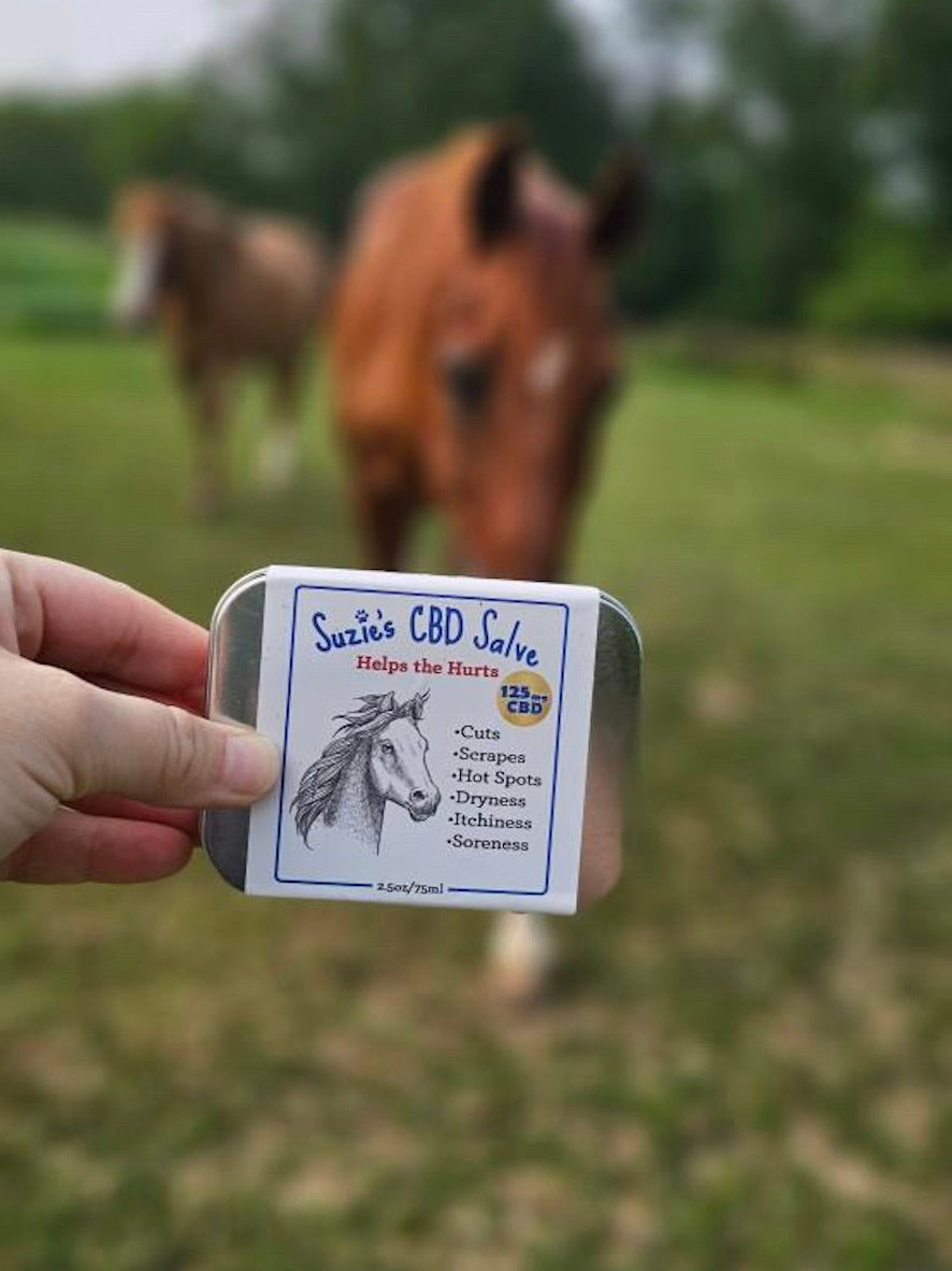 125 mg CBD Horse Salve