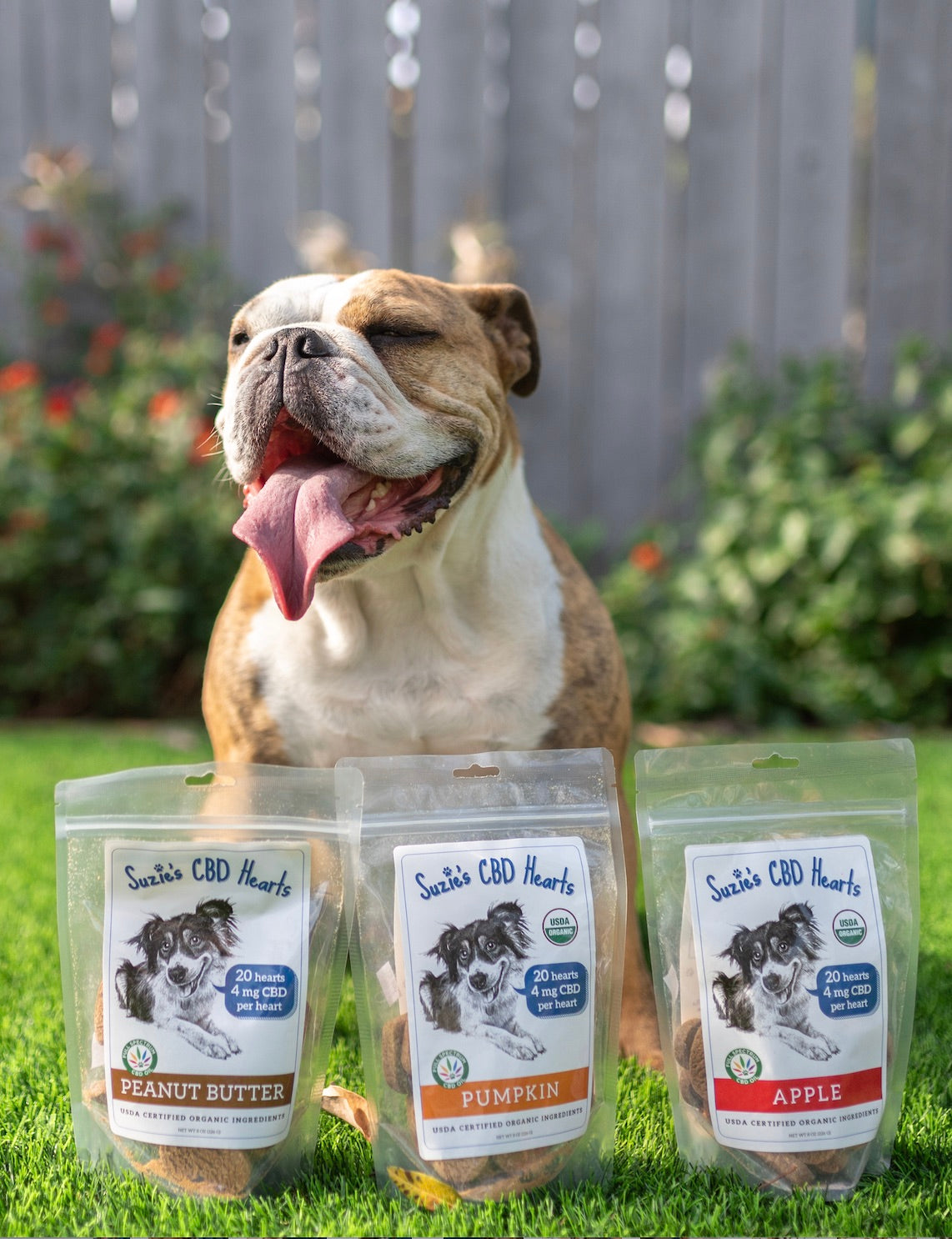 Doggie cbd treats hotsell