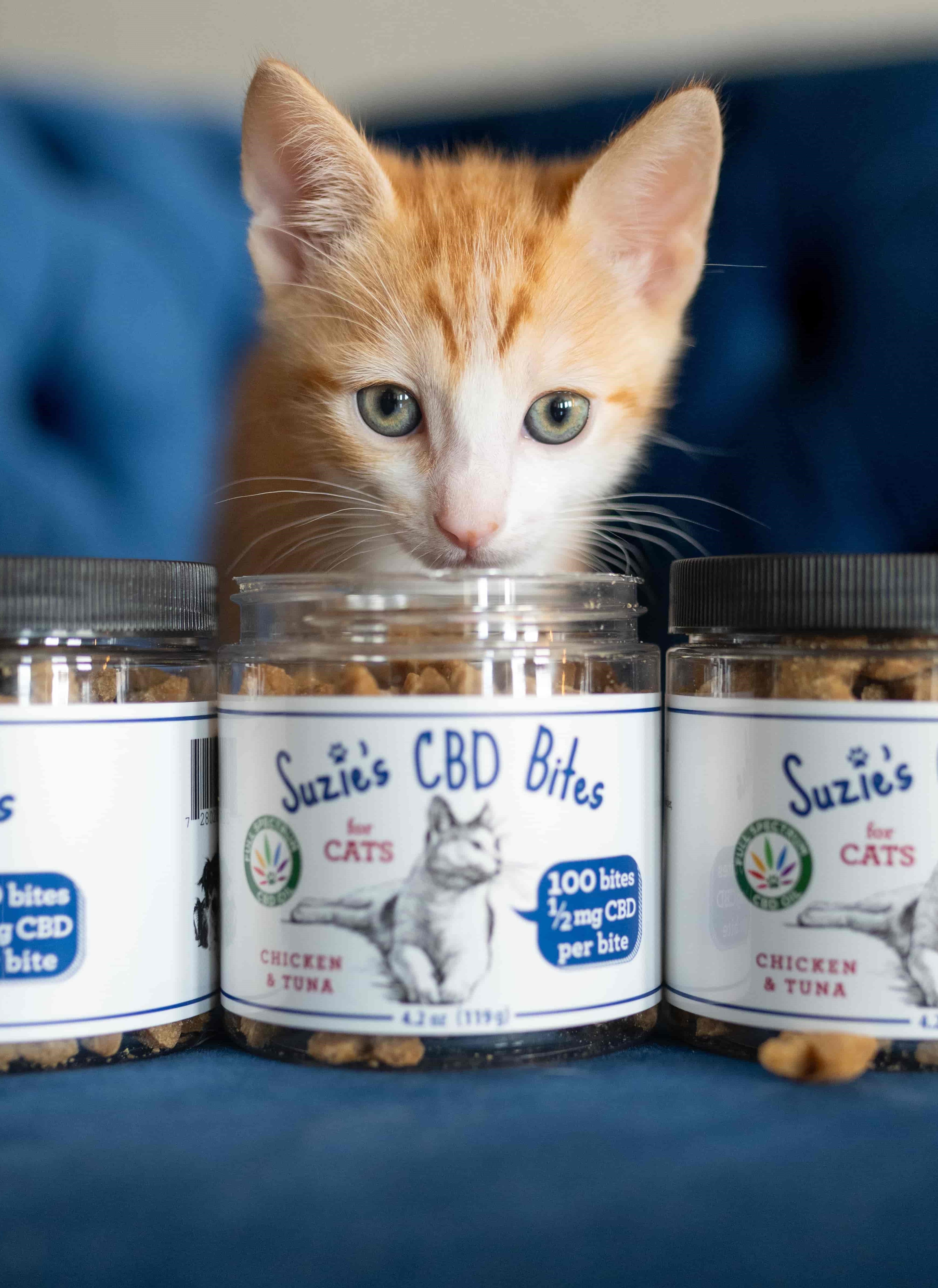Suzies CBD Treats