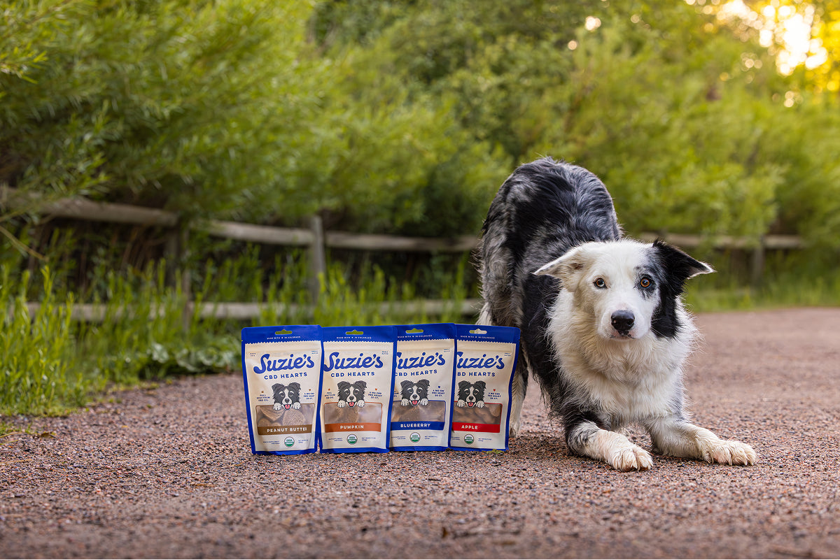 Suzies CBD Treats