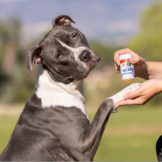 Suzie's CBD - Anti-Itch Stick